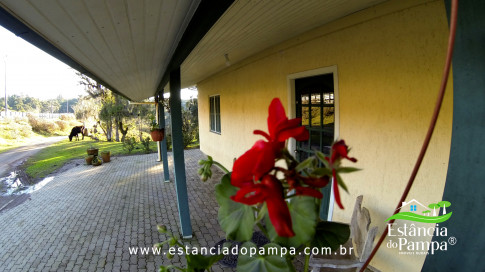 DOS EÓLICOS VIRA P FAZENDA_Moment.00_03_19_09.Quadro398_2a60ff8fd02fae46acc3c4d569fca5af85e02fcb.jpg